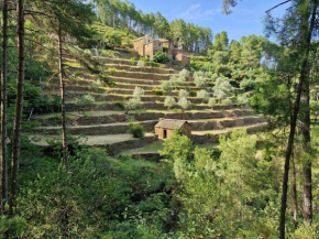 Les Combres, gîte nature avec piscine chauffée
